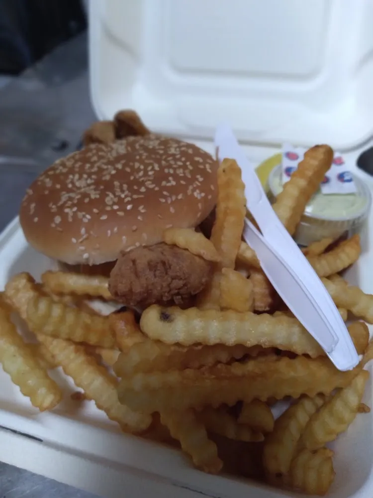 Haddock Burger with French Fries